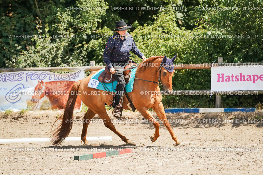 DSC06782 | Pferdegrafie