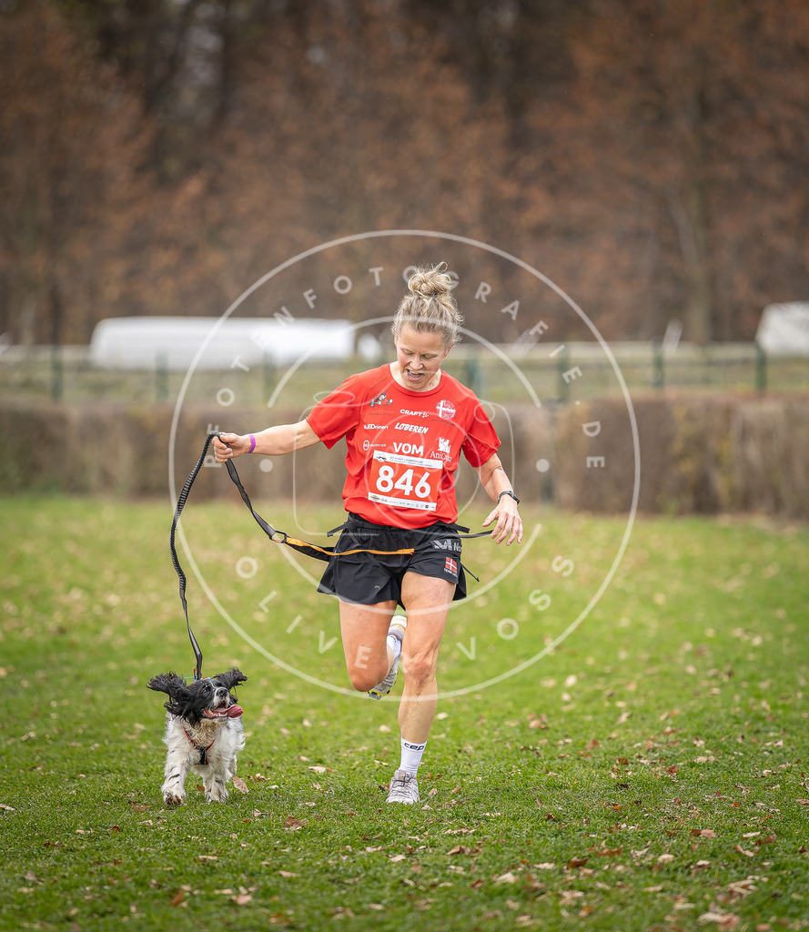 CaniXpix_DV3A6546 | Hundefotografie, Tierfotograf, Pfotenfotografie, Fotoshooting Hund, Hunde Portrait, Hundesport, Hundeportraits, Heideshooting, Hunde, Sportfotograf, Hundefotograf, Turnierhundsport, THS,  - Realisiert mit Pictrs.com