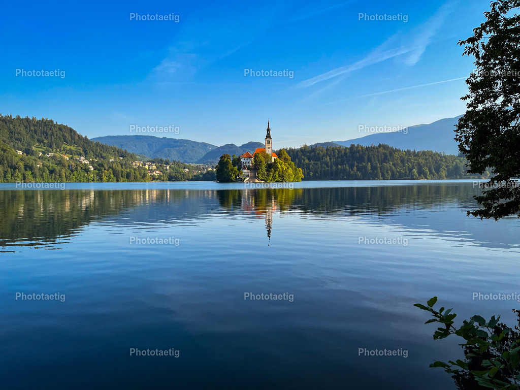 IMG_2416 | phototaetig