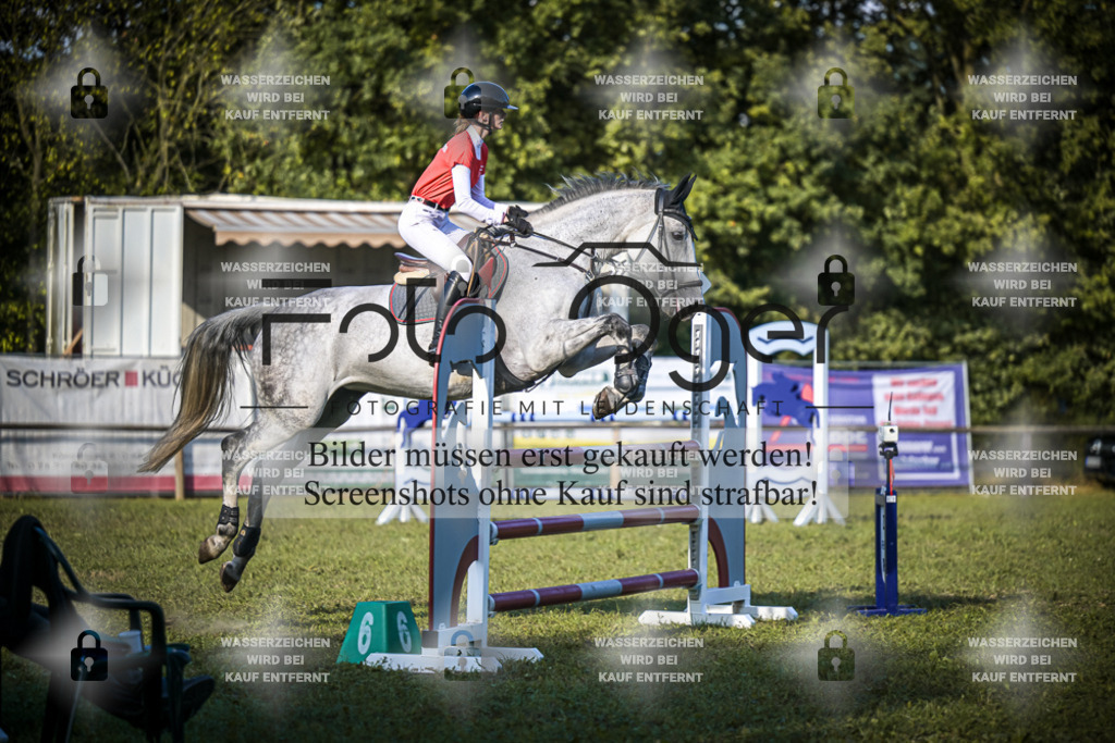 DOS_0391 | Entdecke hochwertige Reitturnierfotos von Foto Oger. Professionell, emotional und authentisch – jetzt Lieblingsmomente im Shop bestellen.Deutschlandweite Turnierfotografie. - Realisiert mit Pictrs.com