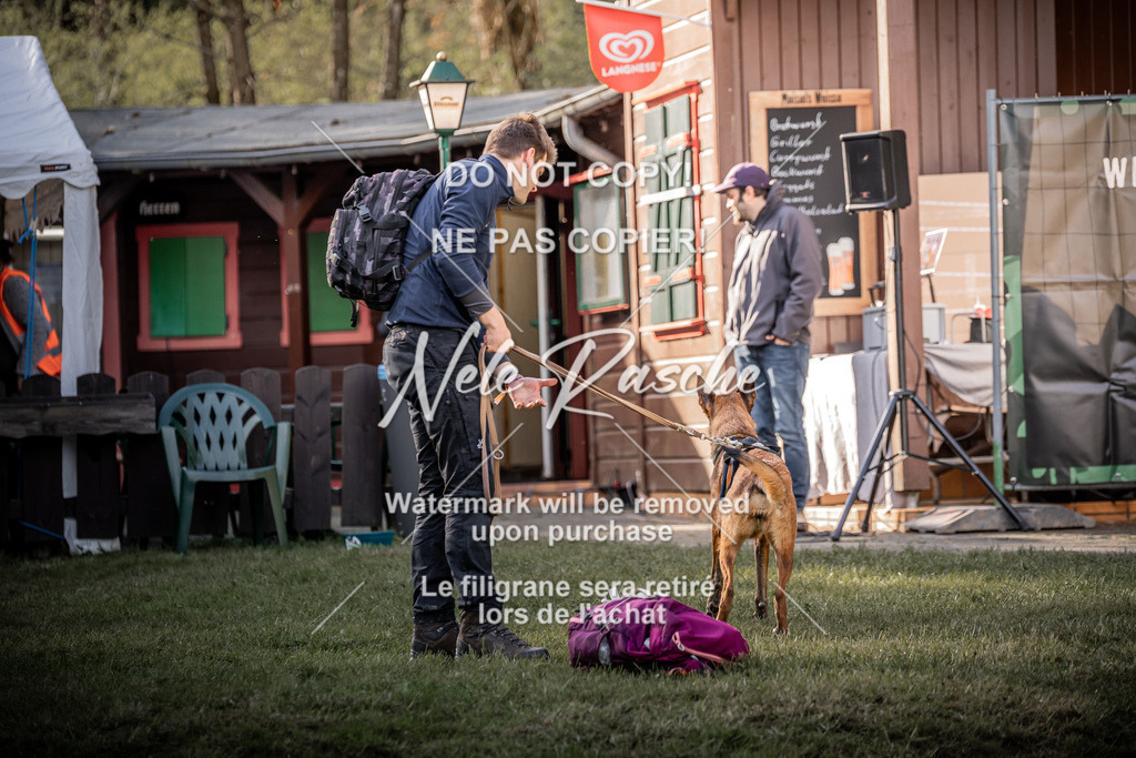 6Z1A1854 | nelerasche