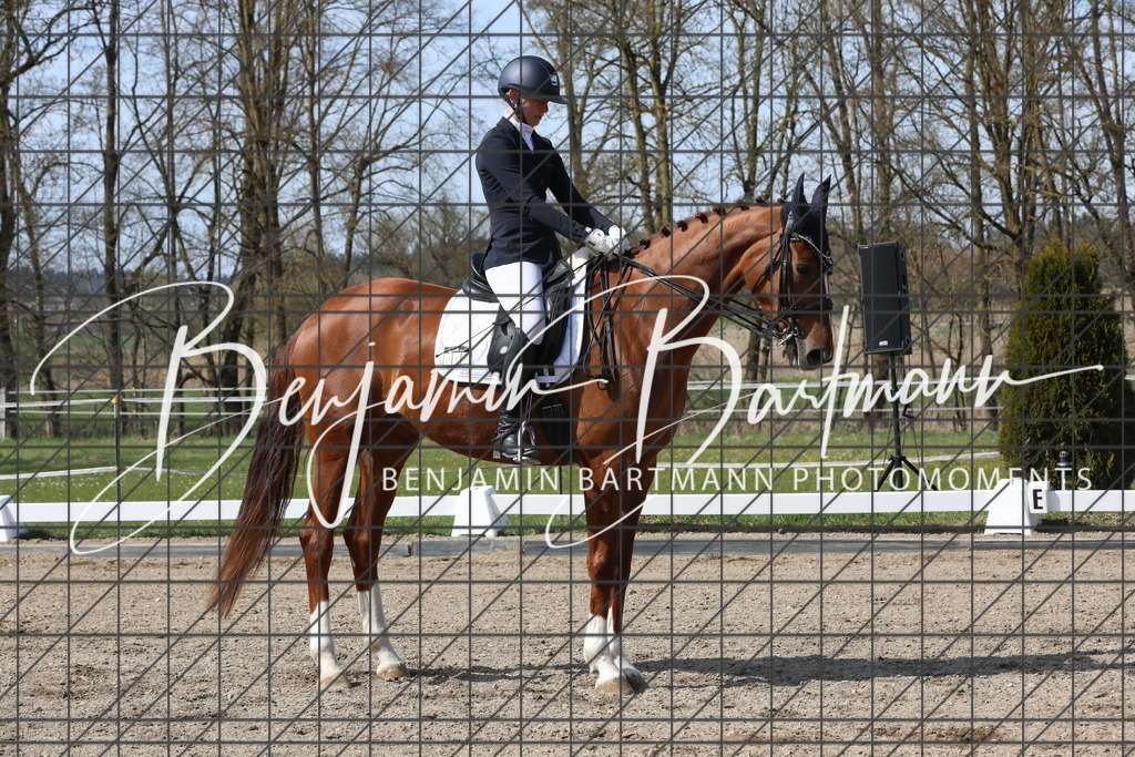 AZ2A5926 | Benjamin Bartmann Photomoments