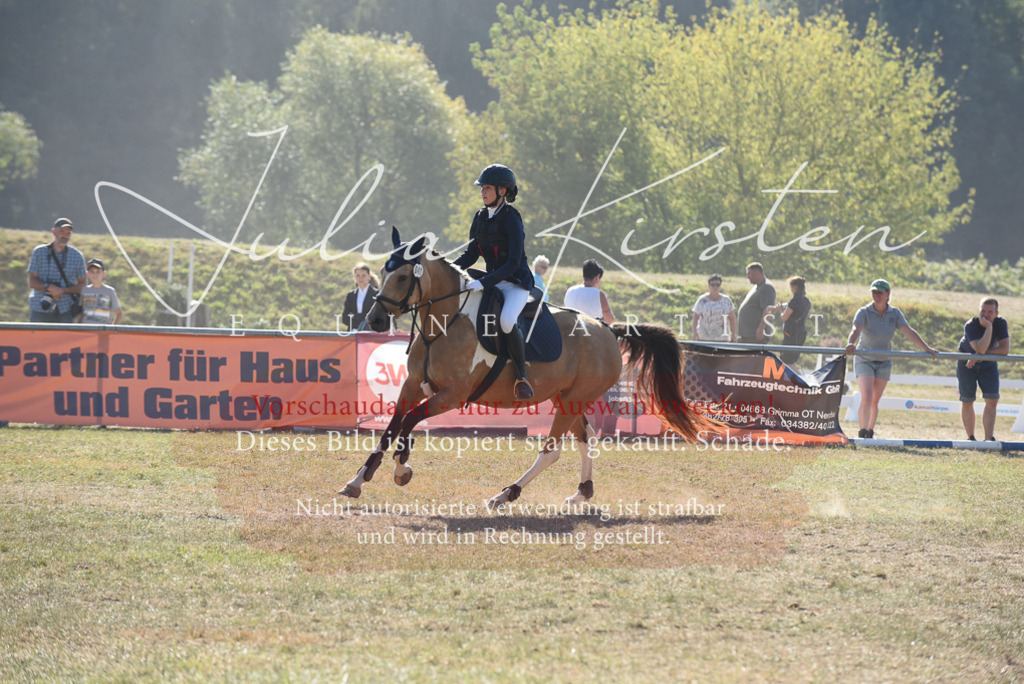 DSC_5986 | Pferde- und Turnierfotografie in Westsachsen. Pferdeportraits, Auftragszeichnungen und intuitive Kunst.