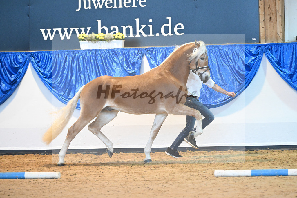 Kat-Nr. 10 nn v. Bugatti_Obermeyer_60220680 | hf-fotografie - Realisiert mit Pictrs.com