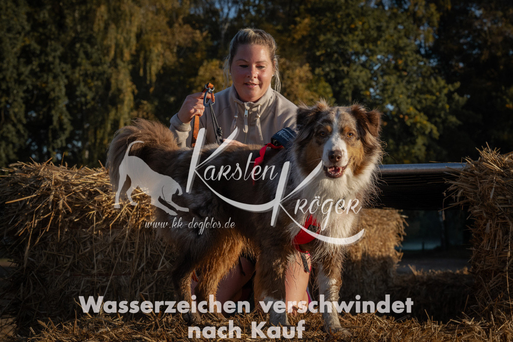 0926_ZZ92996 | kk-dogfotos