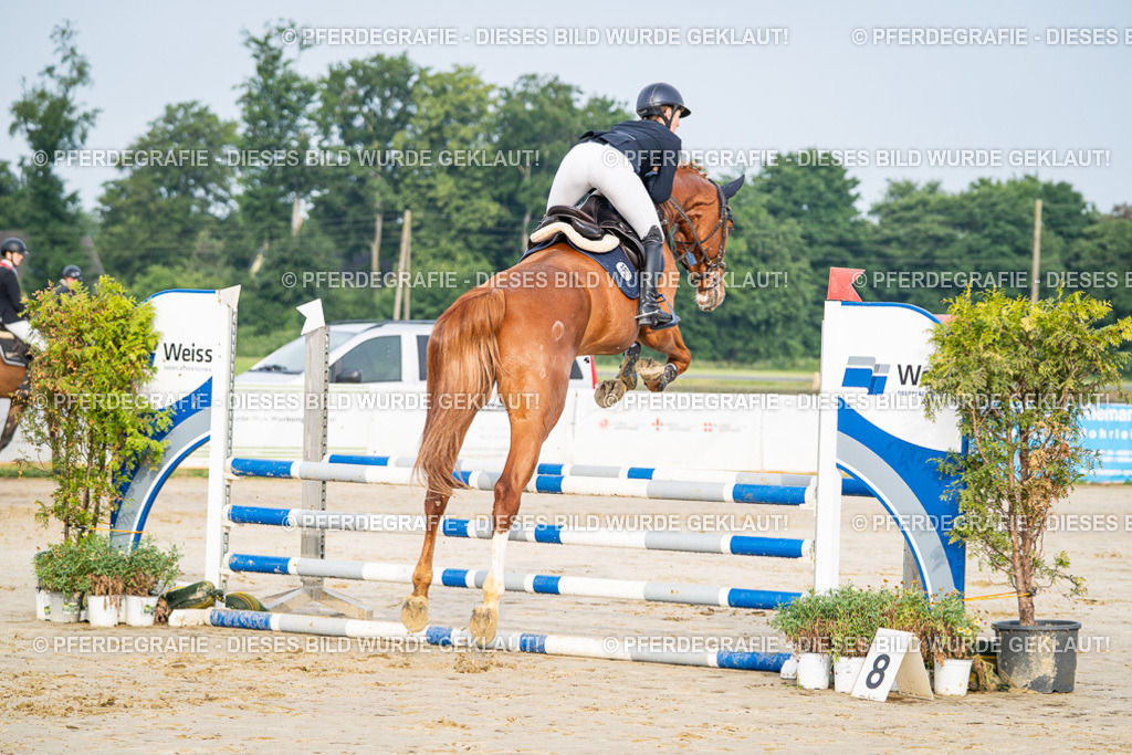 DSC07816 | Pferdegrafie