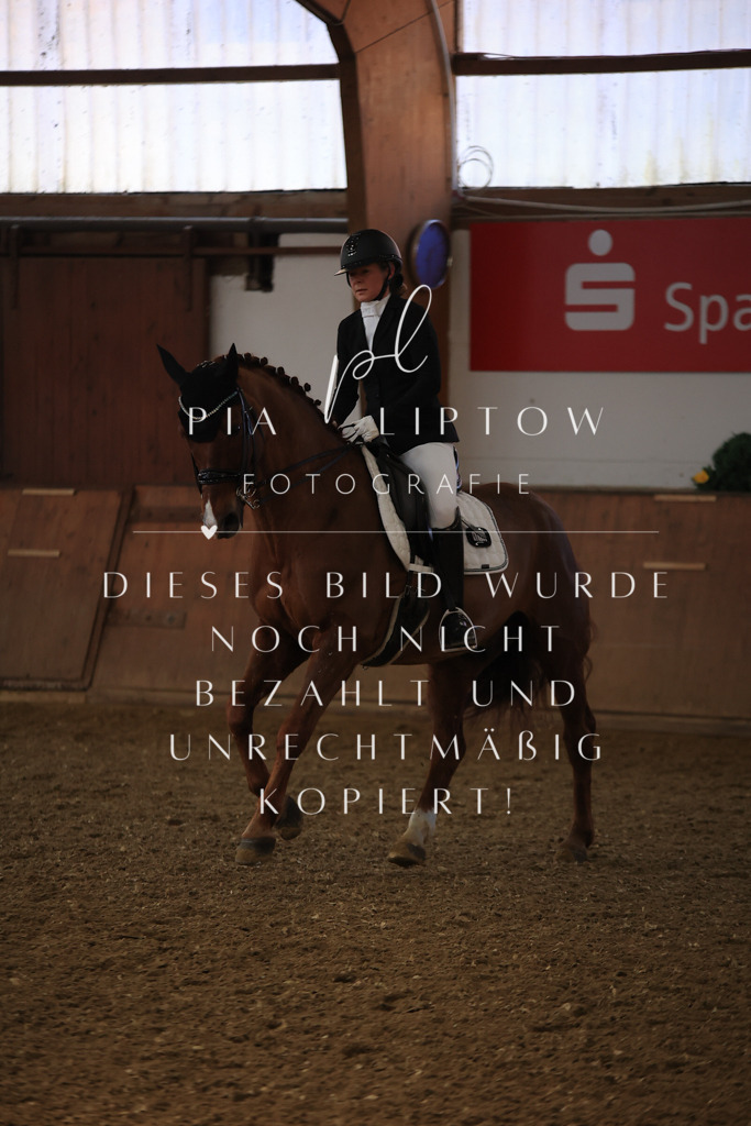 IMGT3421 | pl-fotografie