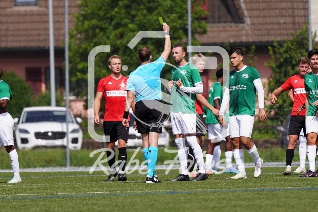 SON08230 | rabefotos