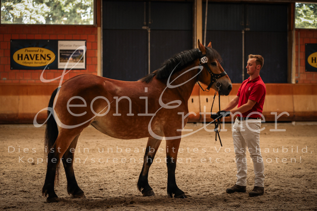 SaFL00084 | Leoni Ertmer Photography - Realisiert mit Pictrs.com