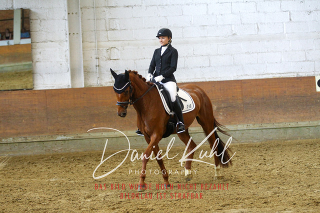 DKP43465 | Turniersportfotografie; Pferdefotografie; Dressurfotografie