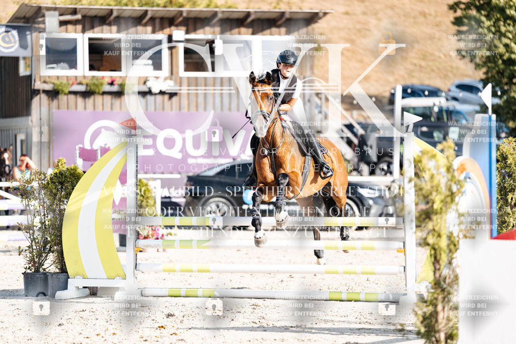 CK909638 | Turnierfotografie Pferdefotografie Trier Rheinland-Pfalz Pferdesport Reitsport Tierfotografie Sportfotografie Pferdevideo Pferdevideografie Equestrianvideography equestrianphotography  - Realisiert mit Pictrs.com