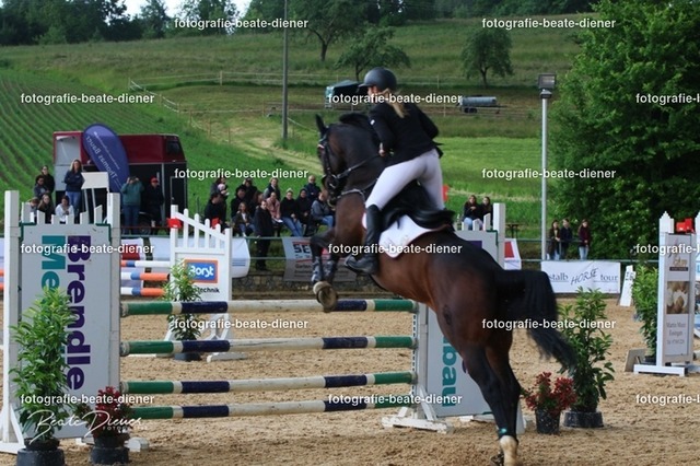 OHT2231 | Fotografie, Tiere, Hunde, Katzen, Pferde, Sportfotografie, Fotosession, Tierfotografie, Turnierfotografie, Fotografin, Fotograf - Realisiert mit Pictrs.com