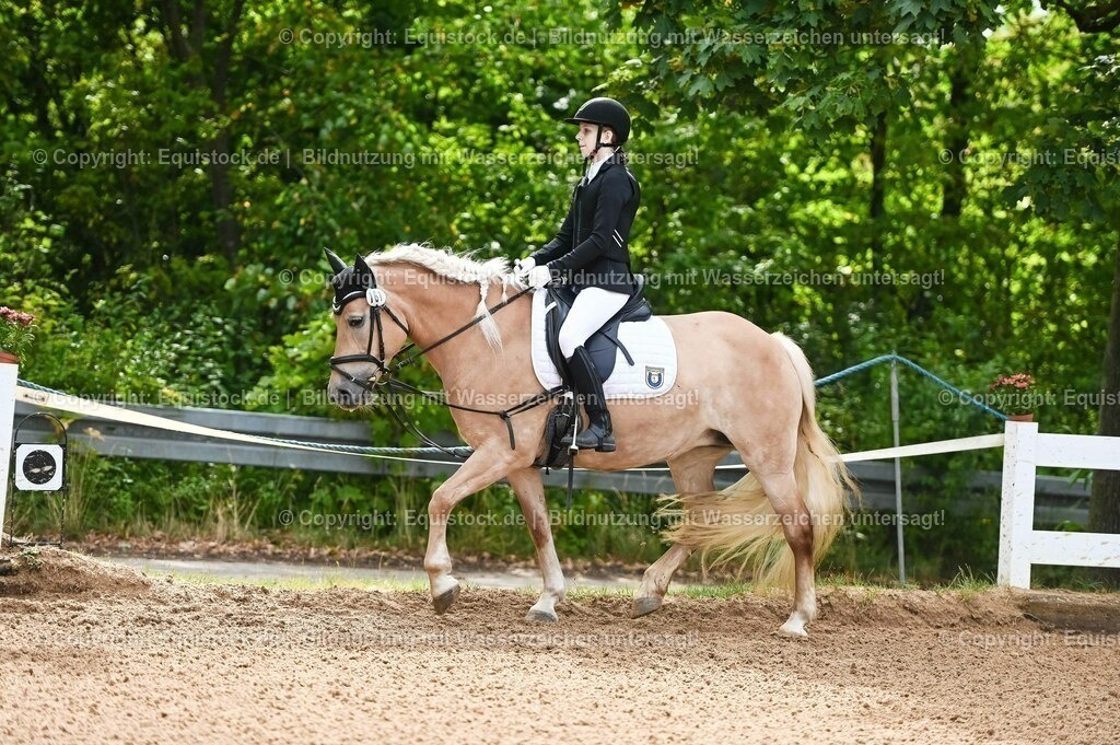 20230716_10-1_Reiter-WB Schritt - Trab - Galopp_0060 | equistock