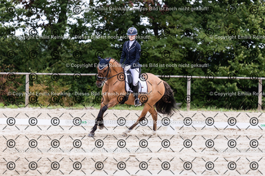 CL5A2140 | Emilia Reinking Fotografie - Realisiert mit Pictrs.com