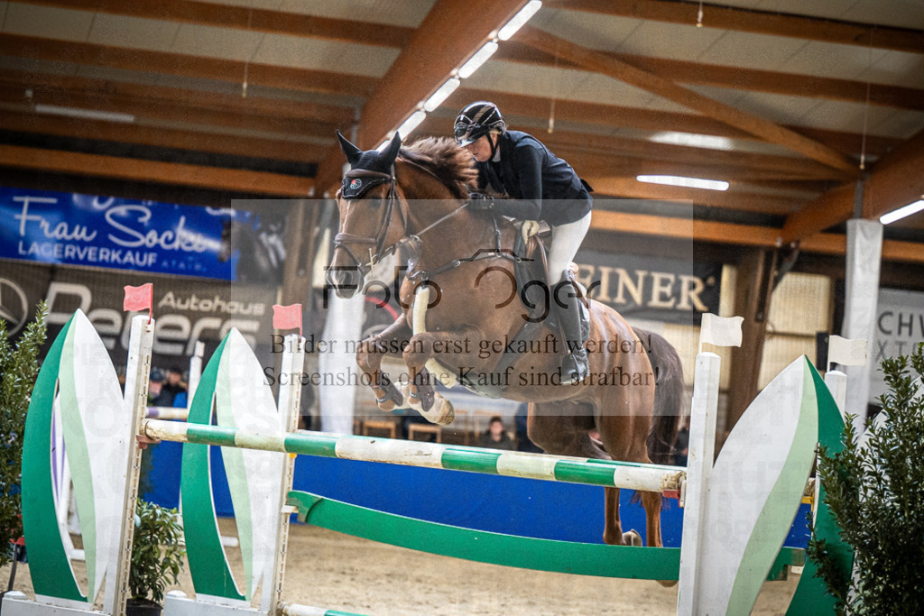 DOS_0380 | Entdecke hochwertige Reitturnierfotos von Foto Oger. Professionell, emotional und authentisch – jetzt Lieblingsmomente im Shop bestellen.Deutschlandweite Turnierfotografie. - Realisiert mit Pictrs.com