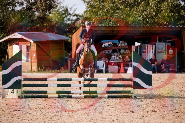 2026_10_03_Siefer-Hof_155340_Z81_73261392 | Professionelle Reitsport-, Turnier- und Eventfotografie von Robert Broda. Galerien mit ausgewählten und bearbeiteten Bildern direkt online ansehen und bestellen.