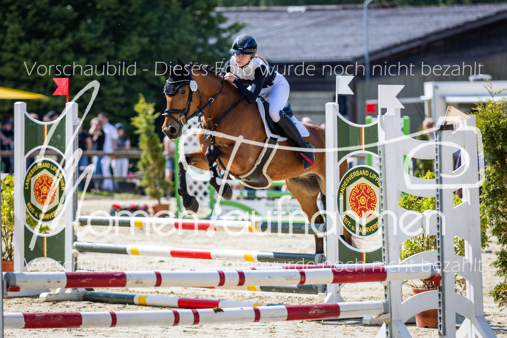 Donop24-ESpr-056 | MomenTaufnahmen Pferdesportfotos