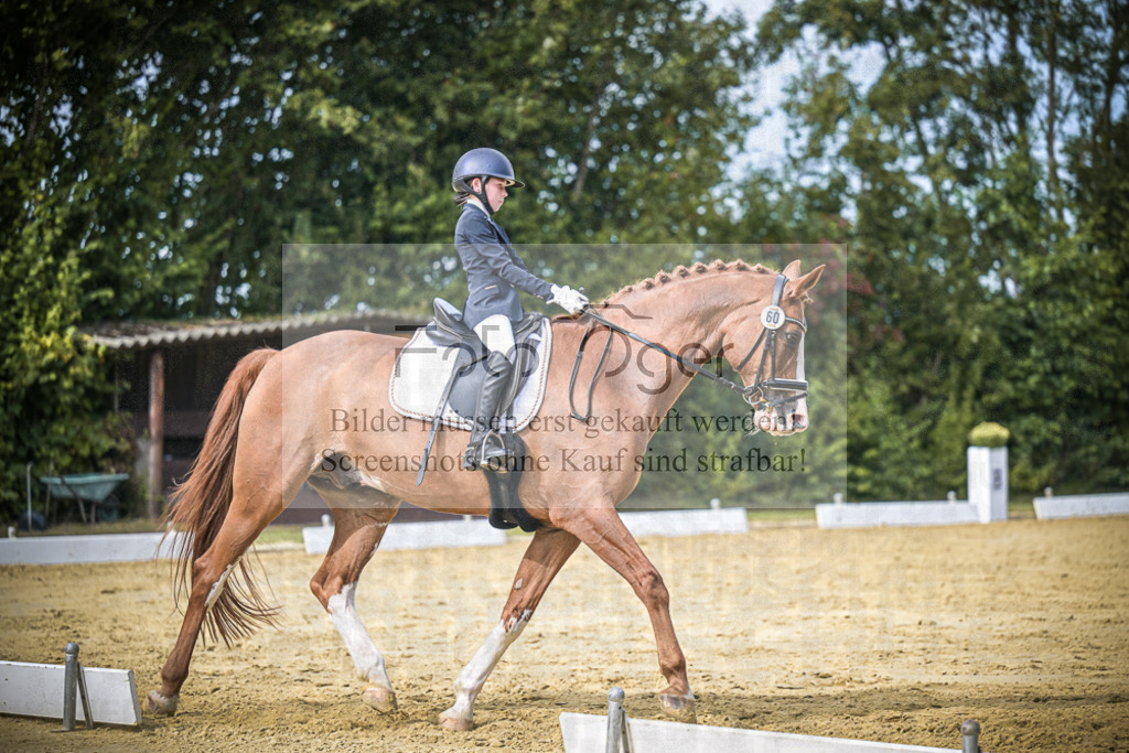 DOS_6030 | Entdecke hochwertige Reitturnierfotos von Foto Oger. Professionell, emotional und authentisch – jetzt Lieblingsmomente im Shop bestellen.Deutschlandweite Turnierfotografie. - Realisiert mit Pictrs.com