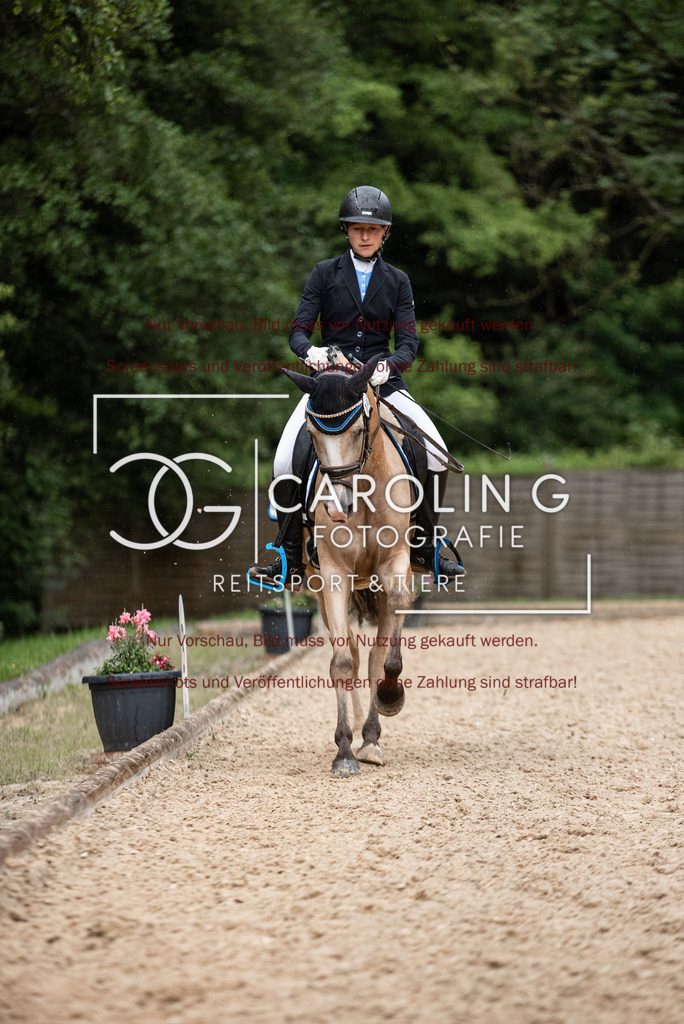 DSC_3207 | Turnierfotografin Carolin Gieschke,Reitsport Turnierfotografie Carolin G Fotografie | Turnierfotos aus Kirchheim/Teck, Esslingen, Stuttgart und dem Bodenseekreis