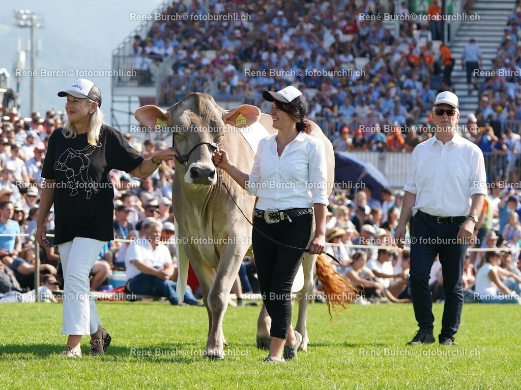DSC08034 (2) | René Burch leidenschaftlicher Fotograf aus Kerns in Obwalden.  Hier finden sie Sport, Landschaft und Natur Fotografie.
 - Realisiert mit Pictrs.com