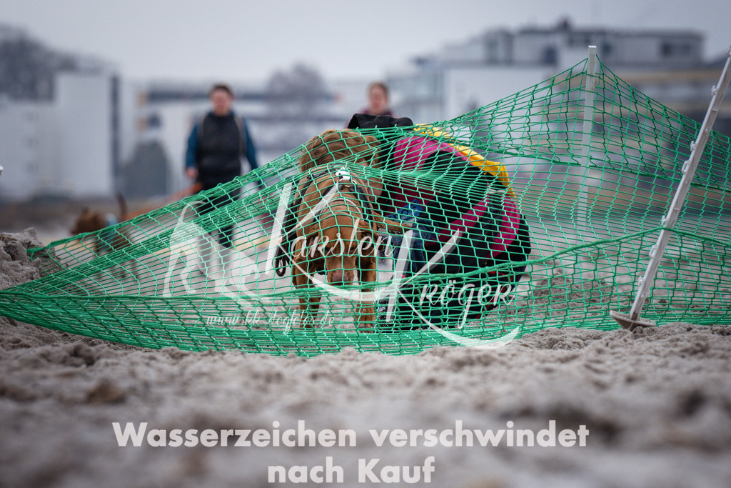 1219_ZZ93515 | kk-dogfotos