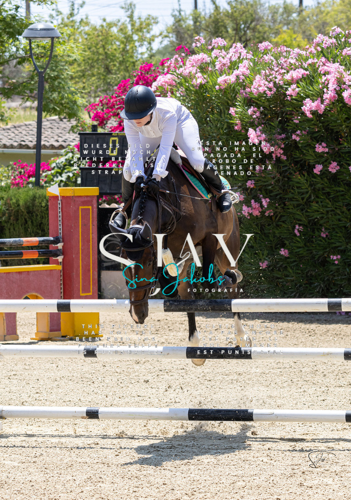 IMG_7399 | s-jay-photography - Realisiert mit Pictrs.com