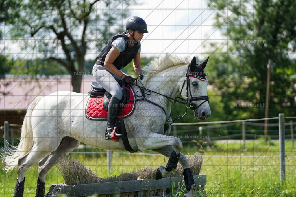 20240622-FAH07810 | Turnierfotografen Bayern, Reitsportbilder aus dem Geländekurs mit Felix Etzel auf dem Gut Waitzacker 2024