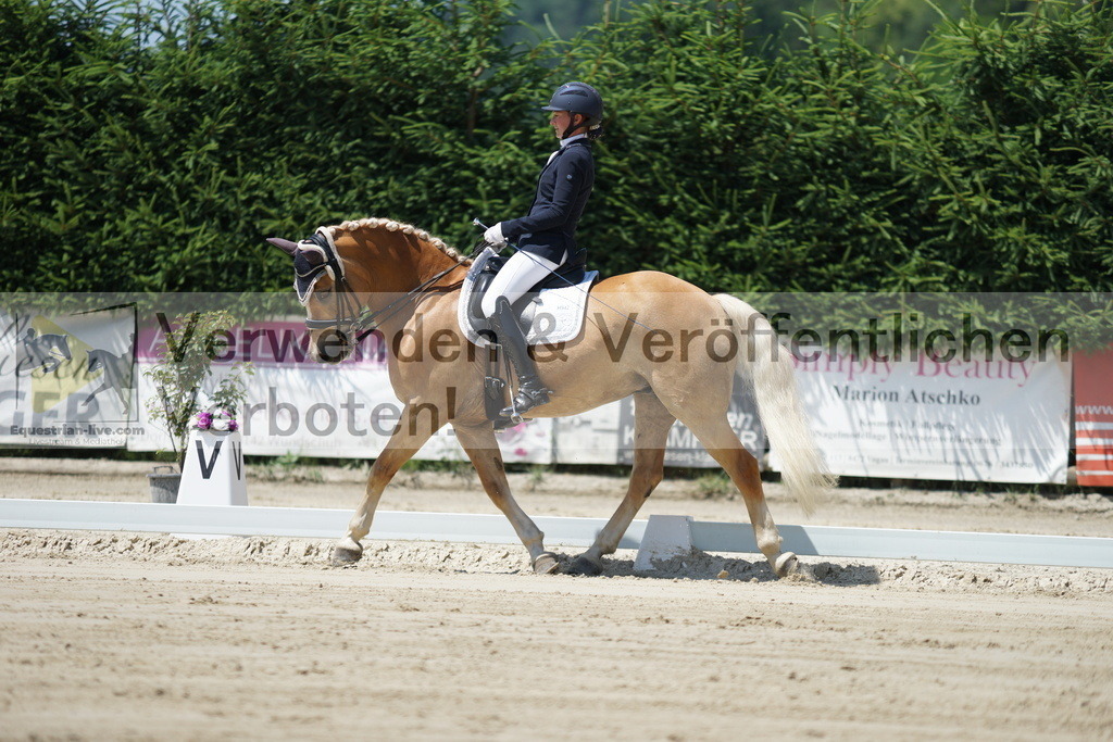 DSC03527 | equestrian-live-com