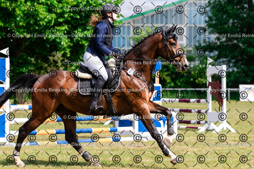 CL5A5654 | Emilia Reinking Fotografie - Realisiert mit Pictrs.com