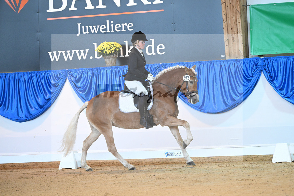 Kat-Nr. 212 Eyra_ZG Wolfgramm_54221610 | hf-fotografie - Realisiert mit Pictrs.com