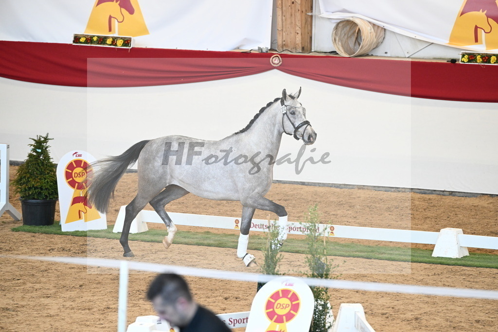 Kat.-Nr. 72 v. Johnson_Lehner_2250624 | hf-fotografie - Realisiert mit Pictrs.com
