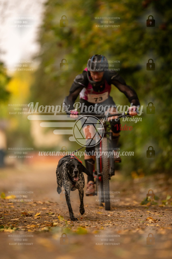 CDLBDB_14_10_2023_Samedi-102 | PayLife