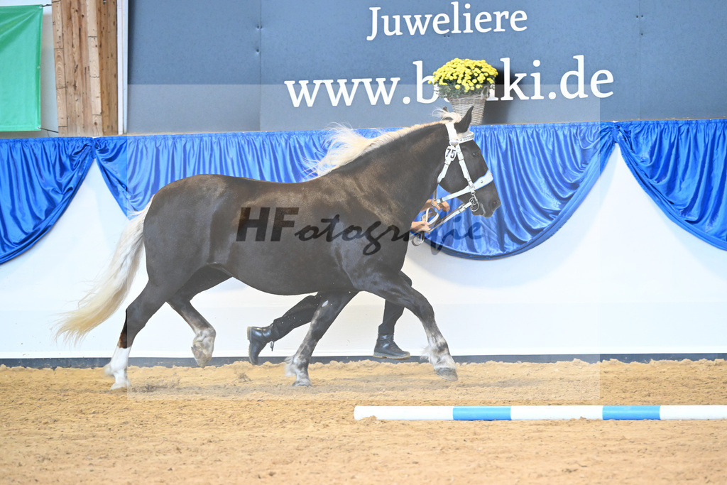 Kat-Nr. 75 Maya_Hoeck_53220344 | hf-fotografie - Realisiert mit Pictrs.com