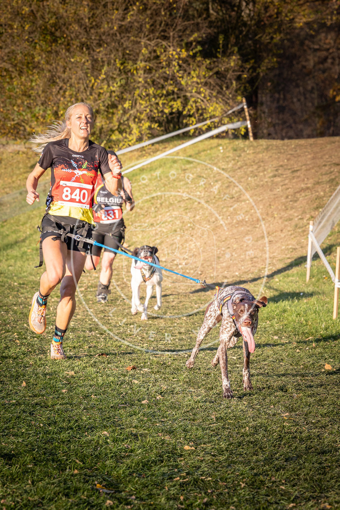 CaniXpix_0L8A0710 | Hundefotografie, Tierfotograf, Pfotenfotografie, Fotoshooting Hund, Hunde Portrait, Hundesport, Hundeportraits, Heideshooting, Hunde, Sportfotograf, Hundefotograf, Turnierhundsport, THS,  - Realisiert mit Pictrs.com