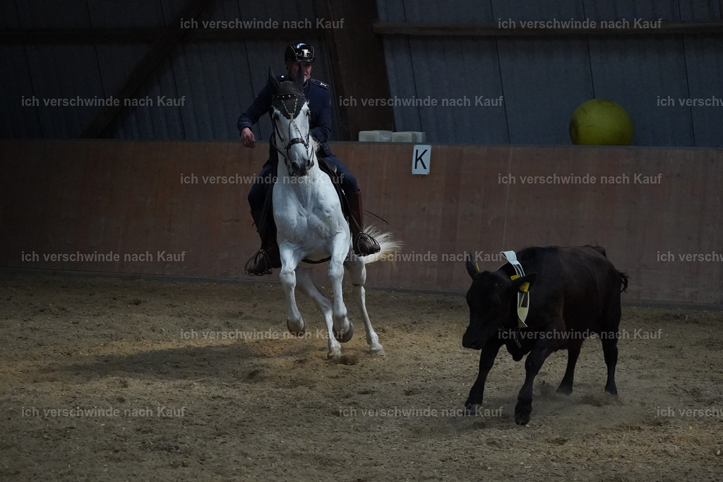 KlasseS_Lucie (71) | working equitationturnier fotograf videograf stoibphotography marixx film working equitation deutschland reitsport turnierfotografie eventfotografie equestrian events