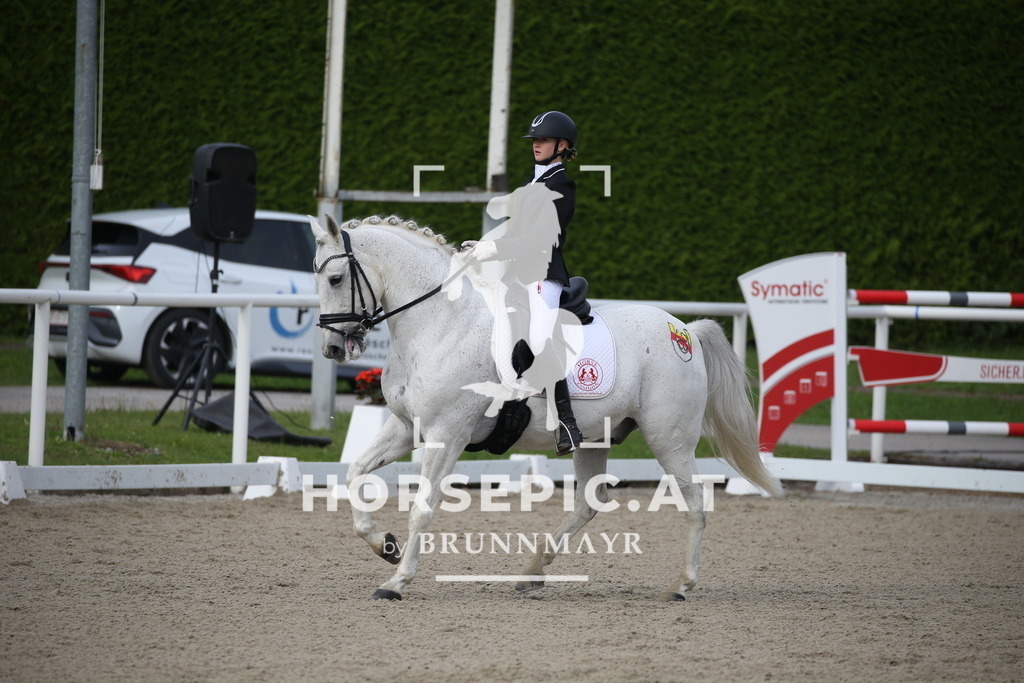 DL2Q1989 | Willkommen bei Brunnmayr - Design & Fotografie – Ihrem Spezialisten für Reitturniere und Pferdeveranstaltungen in Oberösterreich, Salzburg und Bayern! Seit über 17 Jahren sind wir leidenschaftlich dabei.