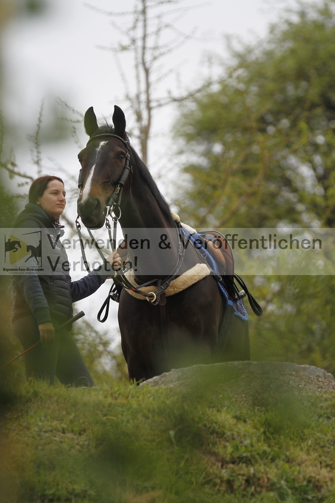_MG_2689 | equestrian-live-com