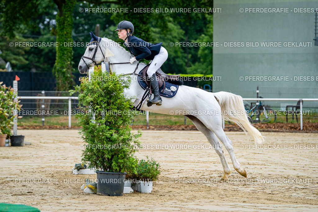 DSC01695 | Pferdegrafie