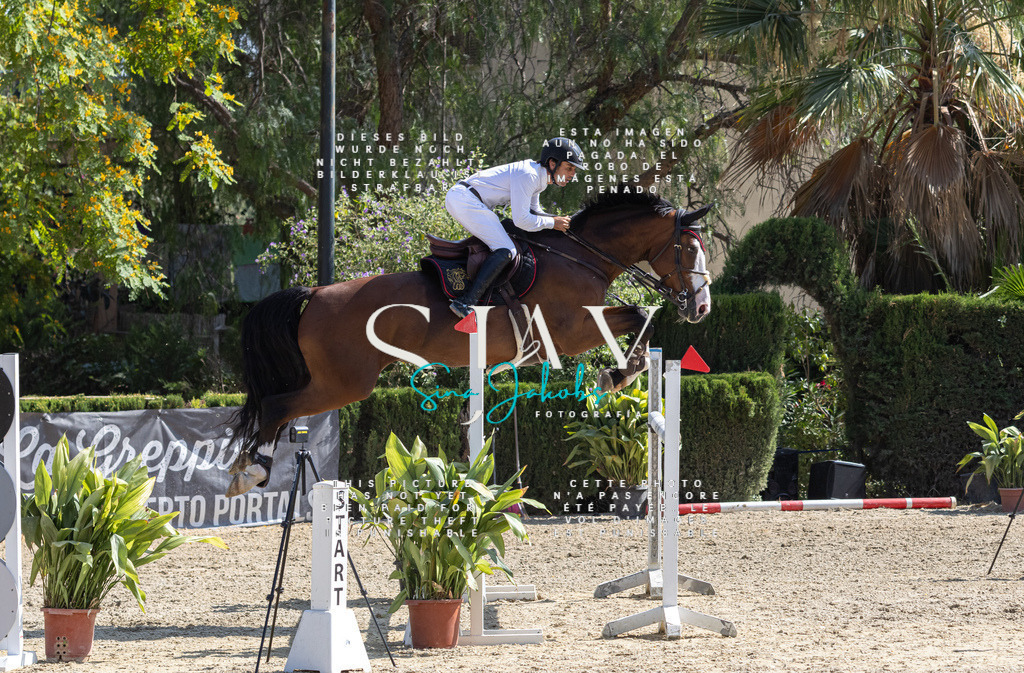 IMG_4111 | s-jay-photography - Realisiert mit Pictrs.com