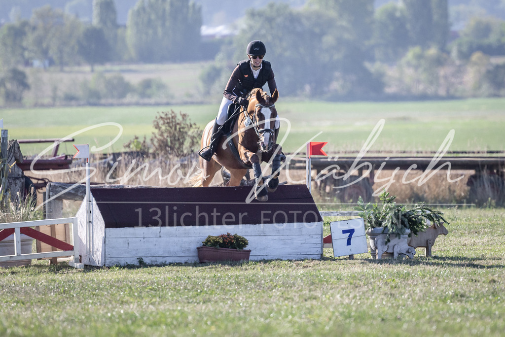 20260906-_3LI1433 | Tierfotografie Pferde, Hunde, Katzen, Haustiere.
Turnierfotografie Reitturniere, Reiten, Springreiten, Dressur in Hanau, dem Main-Kinzig-Kreis und dem Rhein-Main- Gebiet um Frankfurt