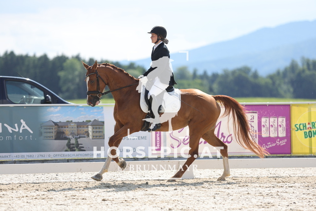 0P6A9009 | Willkommen bei Brunnmayr - Design & Fotografie – Ihrem Spezialisten für Reitturniere und Pferdeveranstaltungen in Oberösterreich, Salzburg und Bayern! Seit über 17 Jahren sind wir leidenschaftlich dabei.