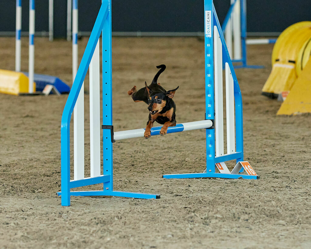 580B0099 | Peter Fridle Fotografie - Realisiert mit Pictrs.com