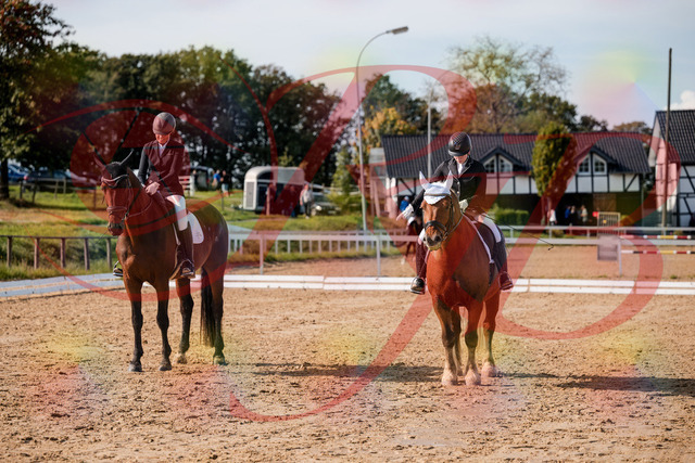 2026_10_03_Siefer-Hof_130536_Z63_69069162 | Professionelle Reitsport-, Turnier- und Eventfotografie von Robert Broda. Galerien mit ausgewählten und bearbeiteten Bildern direkt online ansehen und bestellen.