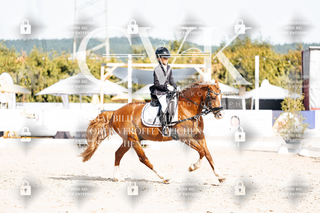CK905272 | Turnierfotografie Pferdefotografie Trier Rheinland-Pfalz Pferdesport Reitsport Tierfotografie Sportfotografie Pferdevideo Pferdevideografie Equestrianvideography equestrianphotography  - Realisiert mit Pictrs.com