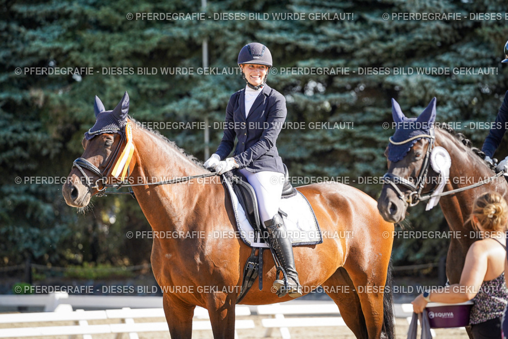 DSC00114 | Pferdegrafie