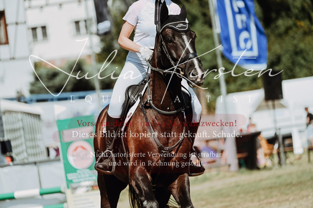 DSC_0043 | Pferde- und Turnierfotografie in Westsachsen. Pferdeportraits, Auftragszeichnungen und intuitive Kunst.