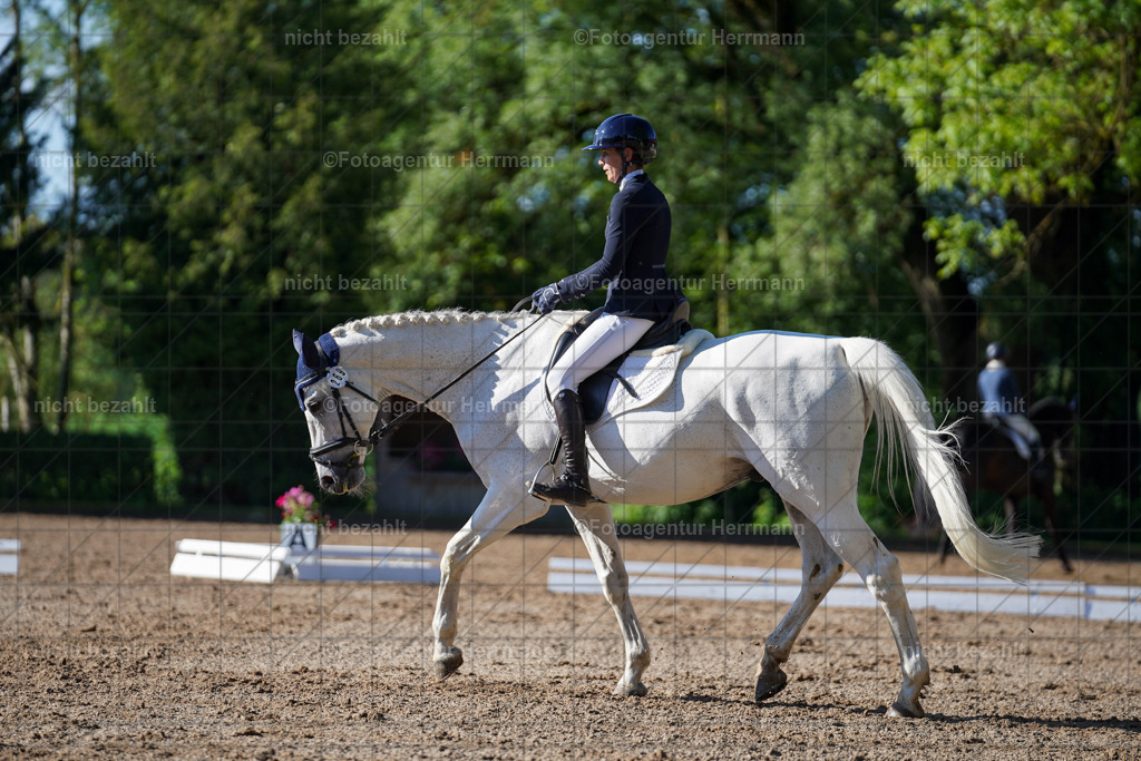 20240519-FAH04376 | Turnierbilder Niederseeon 2024, Vielseitigkeitsdressur, Reitsportbilder aus dem Landkreit Ebersberg, Gut Steinsee, RC Steinsee, Fotoagentur Herrmann