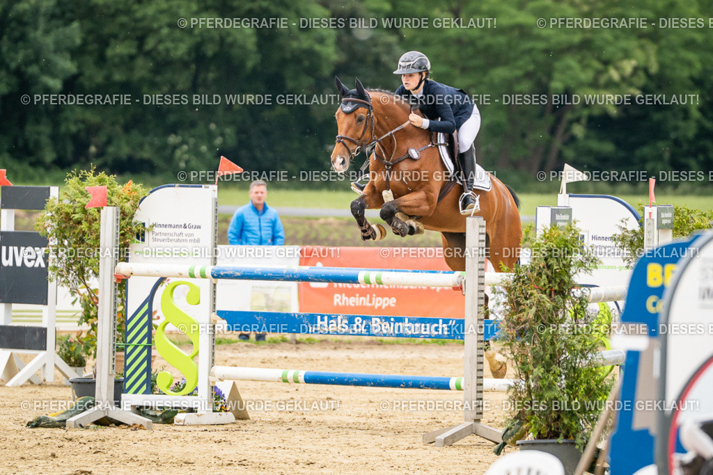 DSC06179 | Pferdegrafie