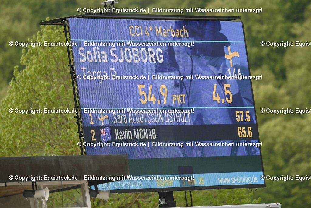 20230514_CCI4_Springen_0018 | equistock