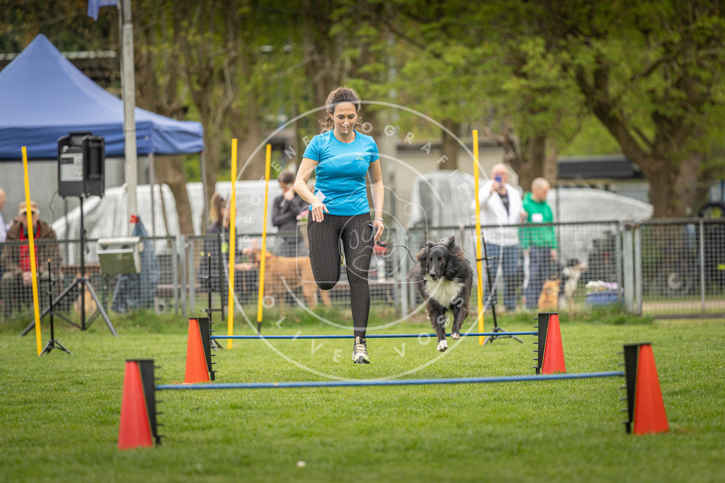 Pfotenfotografie_DV3A2420 | Hundefotografie, Tierfotograf, Pfotenfotografie, Fotoshooting Hund, Hunde Portrait, Hundesport, Hundeportraits, Heideshooting, Hunde, Sportfotograf, Hundefotograf, Turnierhundsport, THS,  - Realisiert mit Pictrs.com